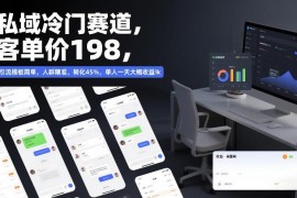 私域冷门低门槛创业项目拆解 客单价198单人日均收益可达千元