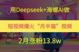 用Deepseek+海螺AI制作爆火月半猫短视频 2月涨粉13.8w实操教程