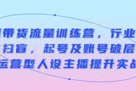 直播带货流量训练营课程 术语扫盲起号破层级主播实战提升