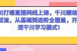 千川投流从基础到进阶系统教程 玩转付费投放撬动直播间自然流