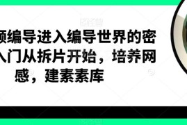 短视频编导零基础入门教程 拆片练网感搭建素材库实操教学