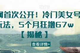 冷门美女号实操玩法揭秘 5个月变现67万运营全流程详解