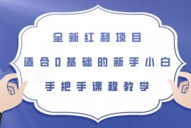适合0基础新手的全新红利项目 全流程手把手教学课程分享