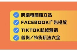 0基础入门精通跨境电商运营 独立站及全域流量营销教程