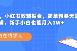 小红书教辅掘金项目实操指南 新手无需剪辑低门槛可落地增收