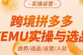 伍跃跨境拼多多TEMU实操教程 选品运营入驻全流程共27节