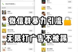 微信群打广告防踢实操教程 零风险日引200+精准粉丝技巧