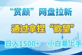 赏颜类网盘拉新赛道实操拆解 新手易上手低门槛变现攻略