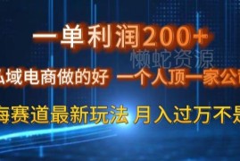 私域电商蓝海赛道实操最新玩法 单人运营单单利润可达200元