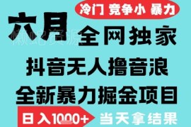 2025年6月抖音无人直播撸音浪掘金项目 低门槛小白可做可矩阵放大