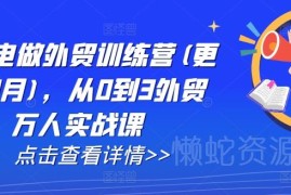 2025年3月更新AI闪电做外贸训练营 零基础外贸全流程实战课