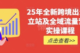 2025年跨境独立站实操课 TikTok全域营销普货特货玩法大全