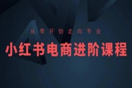 从零到专业小红书电商进阶课程 全流程运营实操教学