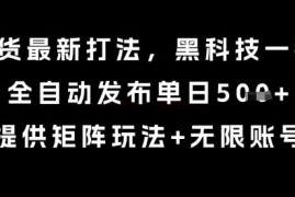 2024年8月电商带货最新自动化打法 附矩阵运营玩法揭秘