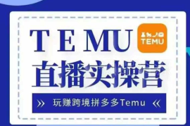 2024 Temu跨境实战运营课程 零基础入门出海赚美金实操方法