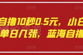 语聊自撸蓝海项目操作指南 小白易上手单日可获数百元收益