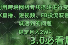 跨境电商TK直播短视频FB投流获客及商城运营常见问题3.0解决指南