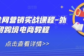 外贸全网营销实战课程 跨境电商建站获客运营全流程教程