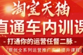 天问电商2023淘宝天猫直通车内训课 零基础学直通车运营实操技巧
