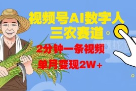 视频号AI数字人运营三农赛道 高效做内容单月变现实操教程
