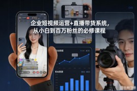 企业短视频运营与直播带货系统课 小白到百万粉必修教程