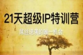 21天超级IP特训营教程 人设打造到私域变现全流程教学