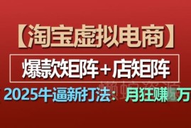 2025淘宝虚拟电商新打法 爆款+店矩阵实操教程可实现月入过万