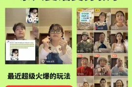 AI复活亲人项目实操教学 涨粉引流代做收徒玩法全攻略