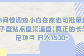 国外有偿问卷调查实操指南 小白可批量操作的长期稳定副业项目