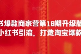 小红书爆款商家营第18期升级版 小红书引流打造淘宝爆款实操方法