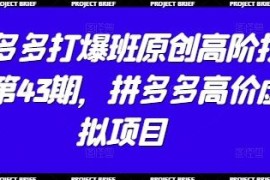 拼多多打爆班第43期 高价虚拟项目全流程运营实操教程