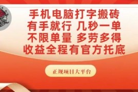 正规打字搬砖副业项目详解 手机电脑可操作可发展为主业
