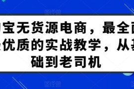 淘宝无货源电商系统实战教学 从入门到高阶运营全流程教程