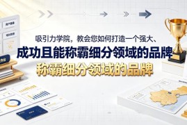 注意力学院品牌打造实战教程 双语字幕教你搭建细分领域强势品牌