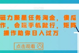 快手磁力聚星低门槛赚钱攻略 矩阵操作轻松提升副业收益
