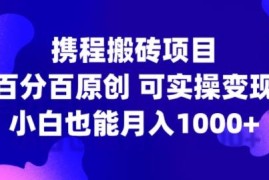 2024携程搬砖实操项目教程 新手零基础可做月入千元攻略