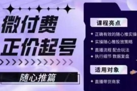 微付费正价起号随心推实操教程 正确投放玩法及复盘技巧