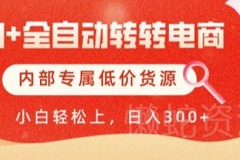 AI全自动转转二手电商项目教程 含自动铺货与低价货源变现方法
