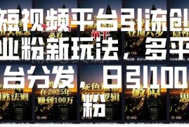 2025短视频平台引流创业粉新玩法 多平台分发实操全指南