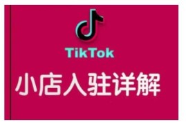 TikTok跨境小店运营全攻略 从入驻到出单全流程实操教程