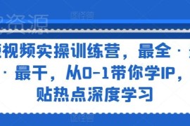 短视频IP从0到1实操训练营 运营剪辑变现全流程干货教程