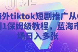 2025海外TikTok短剧推广从0到1保姆级教程 蓝海副业入门指南