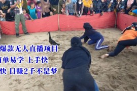冷门爆款无人直播项目实操指南 附配套工具素材易上手变现快
