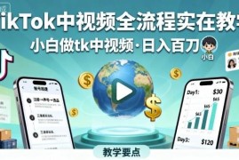 TikTok中视频全流程实操教学 小白入门运营变现方法指南