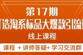 南掌柜第17期淘系标品大爆款打造 5天线上实操运营课程