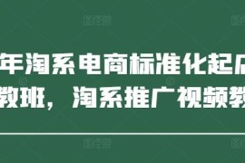 2025年淘系电商标准化起店教程 私教班推广运营实操课程