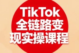 TikTok全链路变现实操课程 从入门到进阶掌握全流程变现技能