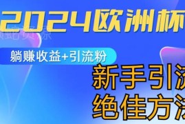 2024欧洲杯流量玩法攻略 新手引流涨粉及变现操作指南