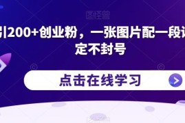 抖音引流创业粉实操方法：一张图配语录日引200+稳定不封号