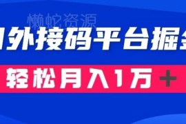 国外接码平台掘金项目实操 成本1.3元利润10+玩法全解析
